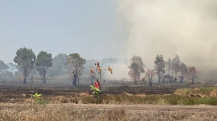 Karhutla Banjar Baru Mencapai 969 Hektare, Warga Dihimbau Menggunakan Masker