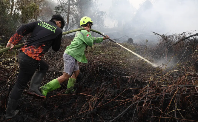 El Nino Godzilla: Penyebab Karhutla dan Prediksi Kapan Berakhir Menurut BMKG