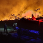 804 Hotspot Karhutla Terpantau di Kalbar, Ketapang Jadi Pusat dengan 533 Titik