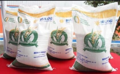 Bantuan Beras 30 Kg Agustus 2026: Cara Cek Penerima secara Mudah