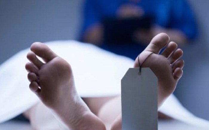 Fakta Kasus Hantavirus di Kalimantan Barat, Satu Pasien Meninggal Dunia