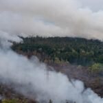 Kabut Asap Karhutla Ganggu Penerbangan di Pontianak, 21 Pesawat Terlambat