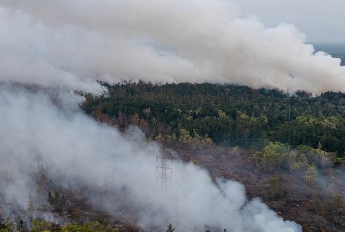 Kabut Asap Karhutla Ganggu Penerbangan di Pontianak, 21 Pesawat Terlambat