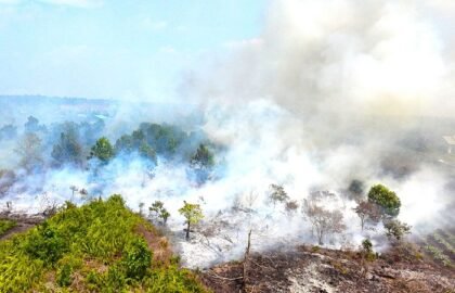 Empat Perusahaan di Kalbar Diperiksa Kemenhut Terkait Karhutla dan Terancam Sanksi