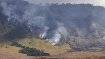 Kebakaran Meluas, Wisata Gunung Bromo Ditutup Total Sejak 8 Agustus 2026