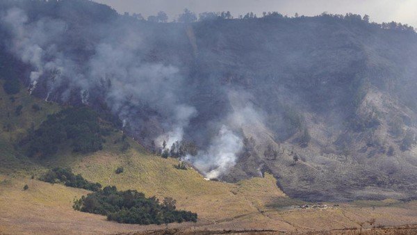 Kebakaran Meluas, Wisata Gunung Bromo Ditutup Total Sejak 8 Agustus 2026