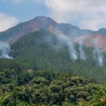 Kebakaran di Gunung Andong Magelang Hanguskan 3,67 Hektare Hutan