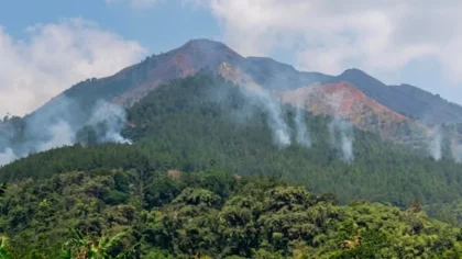 Kebakaran di Gunung Andong Magelang Hanguskan 3,67 Hektare Hutan
