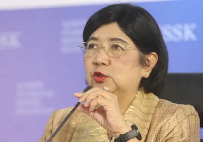 Profil Destry Damayanti: Calon Gubernur BI dan Jejak Kariernya