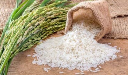 Beras Fortifikasi Bermasalah: Dampak Jika Sudah Dikonsumsi