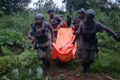 Tiga Pegawai Pemkab Jayawijaya Ditembak KKB Saat Tinjau Proyek Cetak Sawah