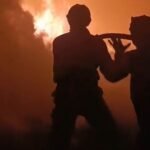 Menhut Raja Juli Antoni Dapat Kritik Keras Terkait Karhutla, Sekda Sintang Minta Tindakan Segera!