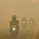 Fakta dan Mitos Karhutla Kalbar-Kalteng: Dampak Air Asin, Sekolah Daring, dan Kualitas Udara Berbahaya
