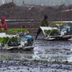 PANEN RAYA - Dody Hanggodo menginstruksikan jajarannya di Kementerian PU memastikan ketersediaan air untuk mendukung panen raya pertama di kawasan KSPEAN di Wanam, Kabupaten Merauke, Papua Selatan. Sejumlah alternatif sumber air disediakan. Berikut selengkapnya, Selasa (29/9/2026). HUMAS KEMENPU/REPRO