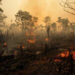 BNPB Laporkan 1.566 Hektare Lahan Karhutla di Kalimantan Masih Ditangani