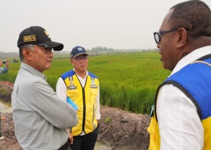 KUNJUNGI KAWASAN PANGAN - Menteri Dody Hanggodo melakukan kunjungan kerja ke kawasan lumbung pangan nasional di Wanam, Merauke Papua Selatan pada Kamis (8/10/2026). Orang nomor 1 di Kementerian Pekerjaan Umum atau Kementerian PU itu ingin KSPEAN Wanam turut bisa angkat perekonomian warga setempat. OFFICIAL BIRO KOMUNIKASI PUBLIK KEMEN PU/REPRO