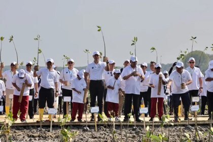 Menko AHY Memperkuat Perlindungan Pesisir Pantura Jawa Melalui Penanaman Mangrove di Demak