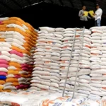 Swasembada Beras Diperkuat, Produksi Nasional Diproyeksikan 34,69 Juta Ton pada 2025