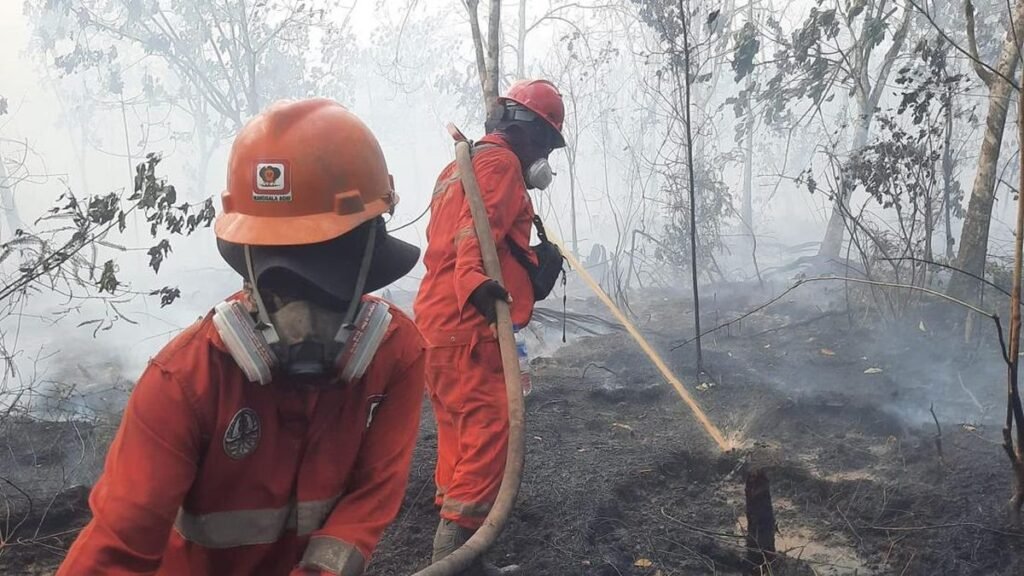 Presiden Prabowo Perintahkan Percepatan Penanganan Karhutla dengan Hercules untuk Operasi Udara